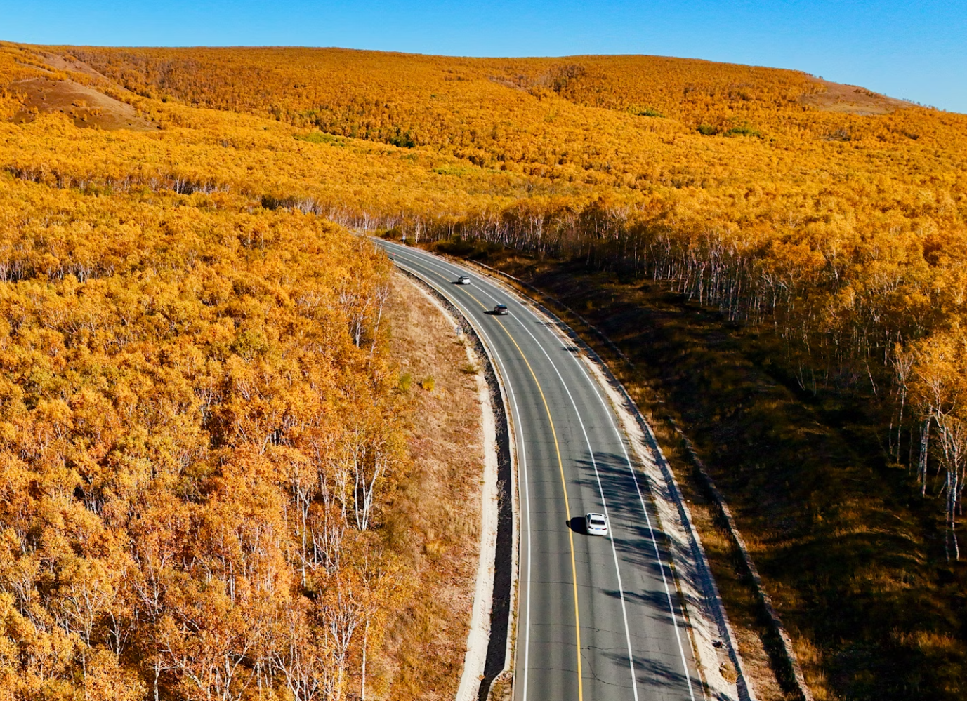 Earthy Curves & Vintage Texture: Fall 2025 Refresh Under $175